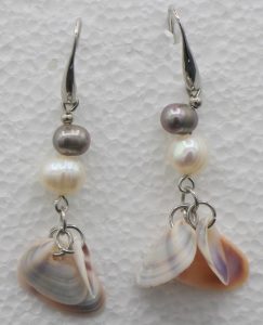 Statement shell earrings